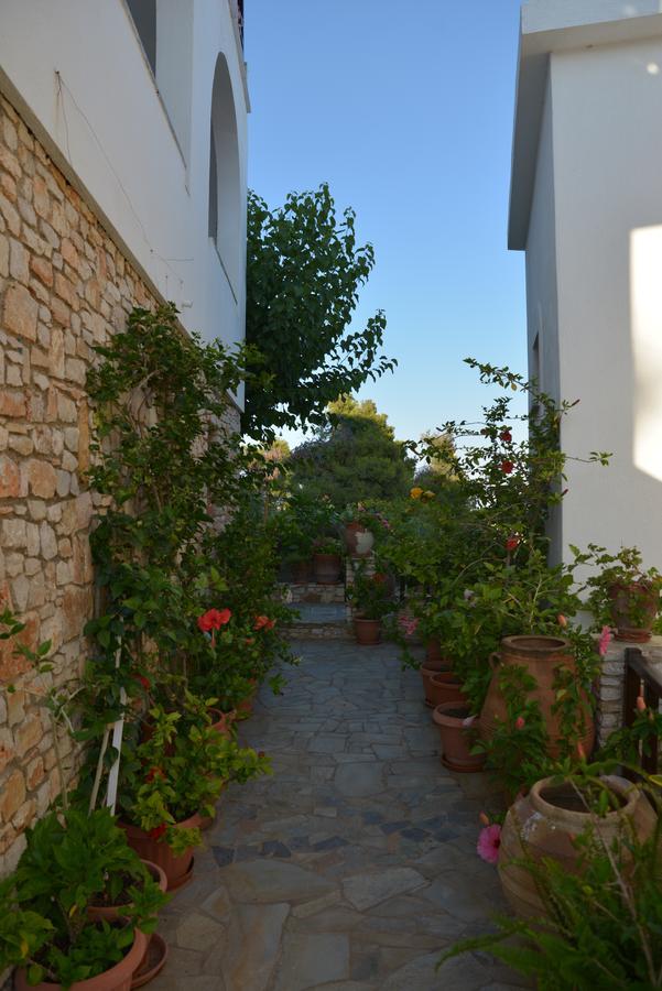 Pension Andromeda Patitírion Dış mekan fotoğraf
